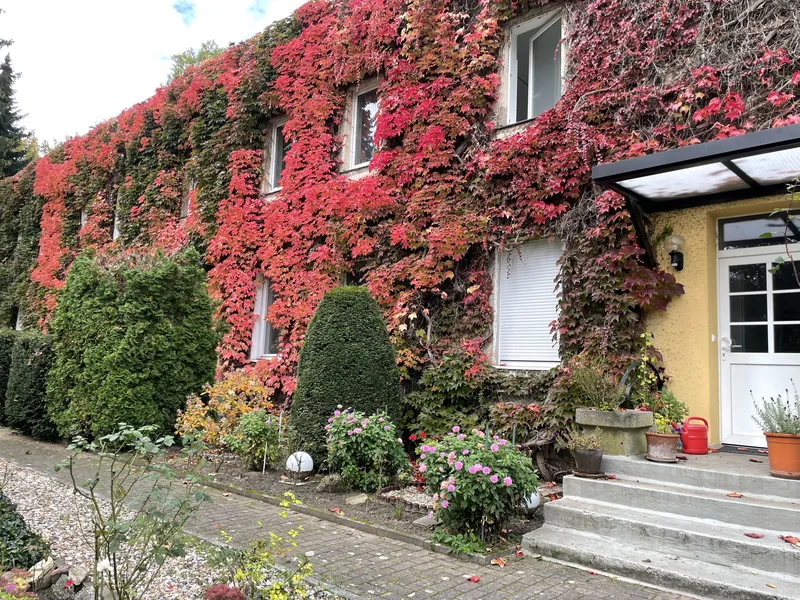 3-Zimmer-Wohnung mit Balkon und eigenen Garten in Berlin Wannsee, direkt am Wald — photo 1